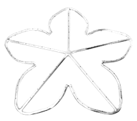 Penta 5-Spoke - 30 Inch - Stainless Steel Fire Pit Ring (High Capacity 3/4